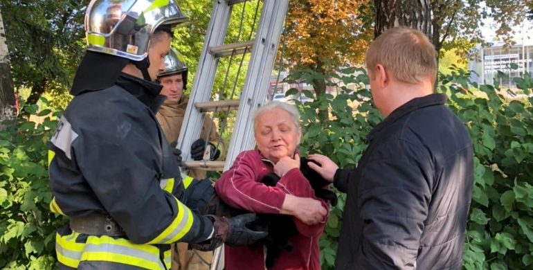 У Рівному на дереві застряг кіт: його знімали рятувальники